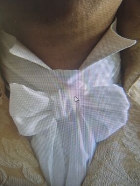 *TIES* The Orgins Of The Neck Tie & Decorative Bow Tie